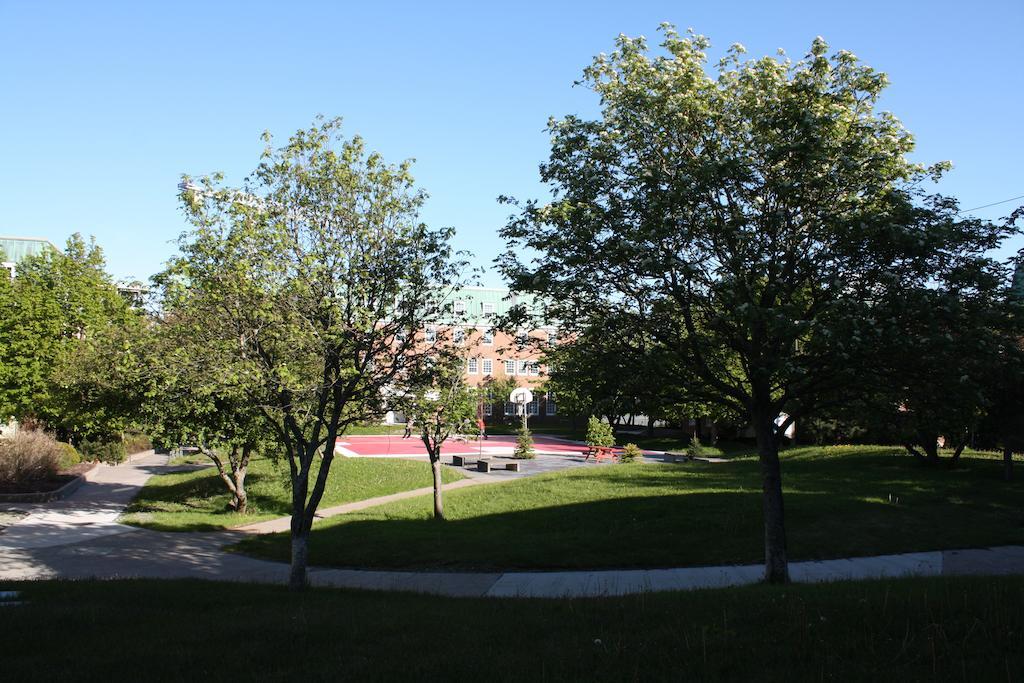 Memorial University St. John's Luaran gambar