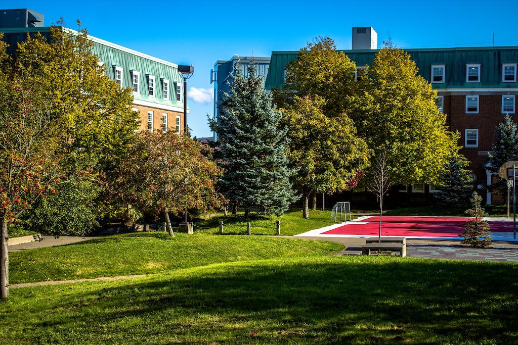 Memorial University St. John's Luaran gambar
