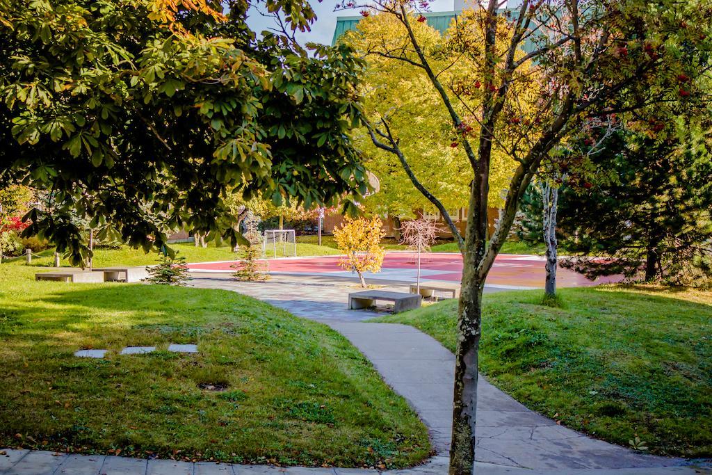 Memorial University St. John's Luaran gambar