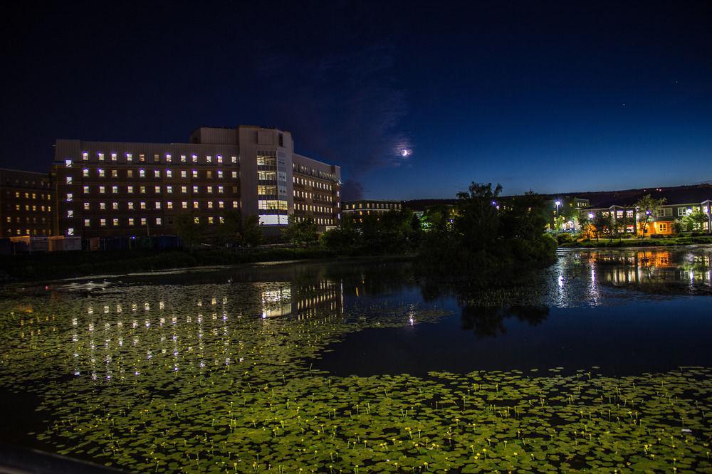 Memorial University St. John's Luaran gambar