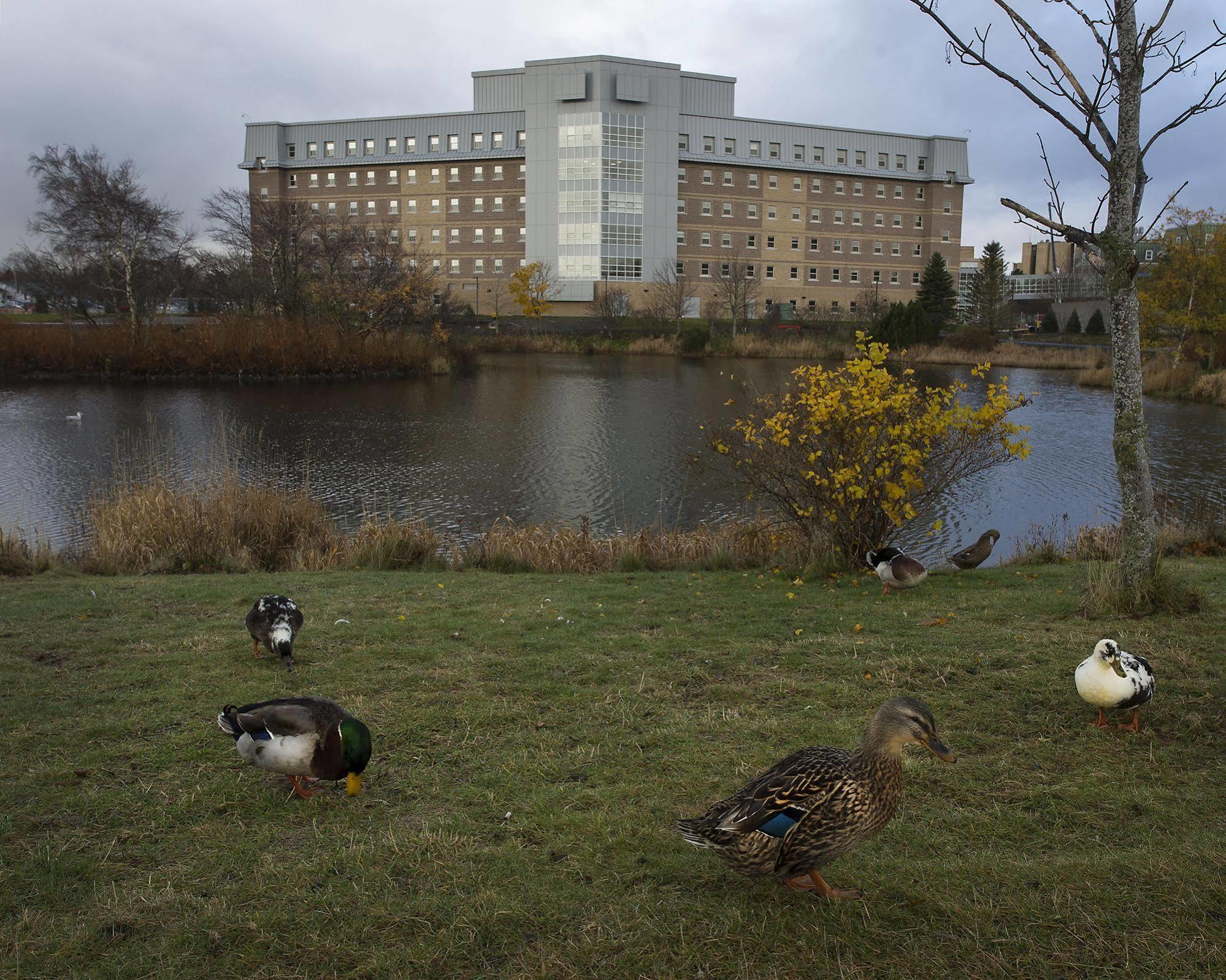 Memorial University St. John's Luaran gambar